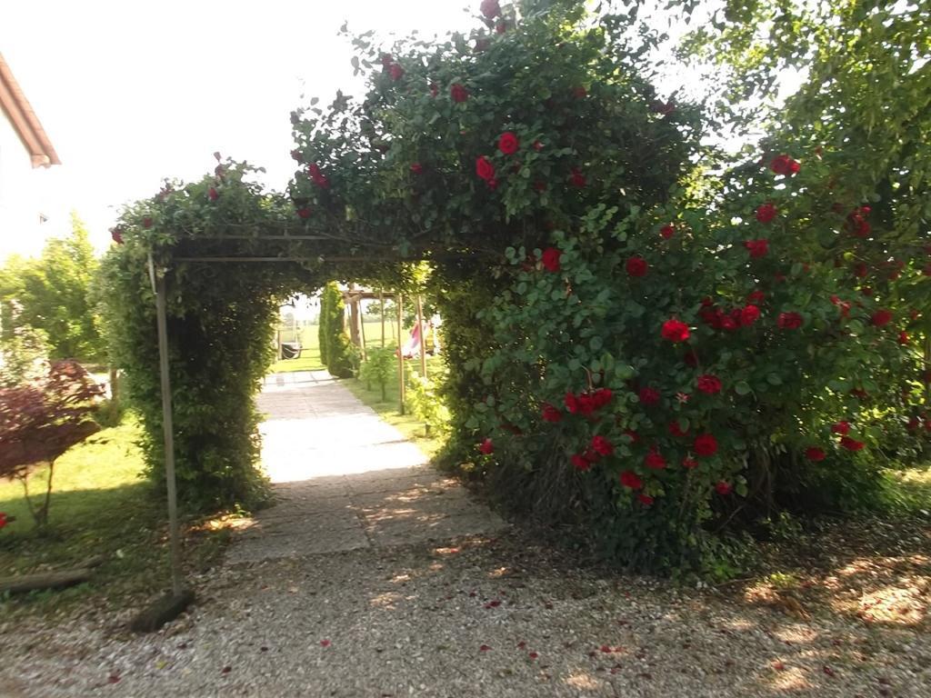Agriturismo La Prateria Gazzo  Bagian luar foto
