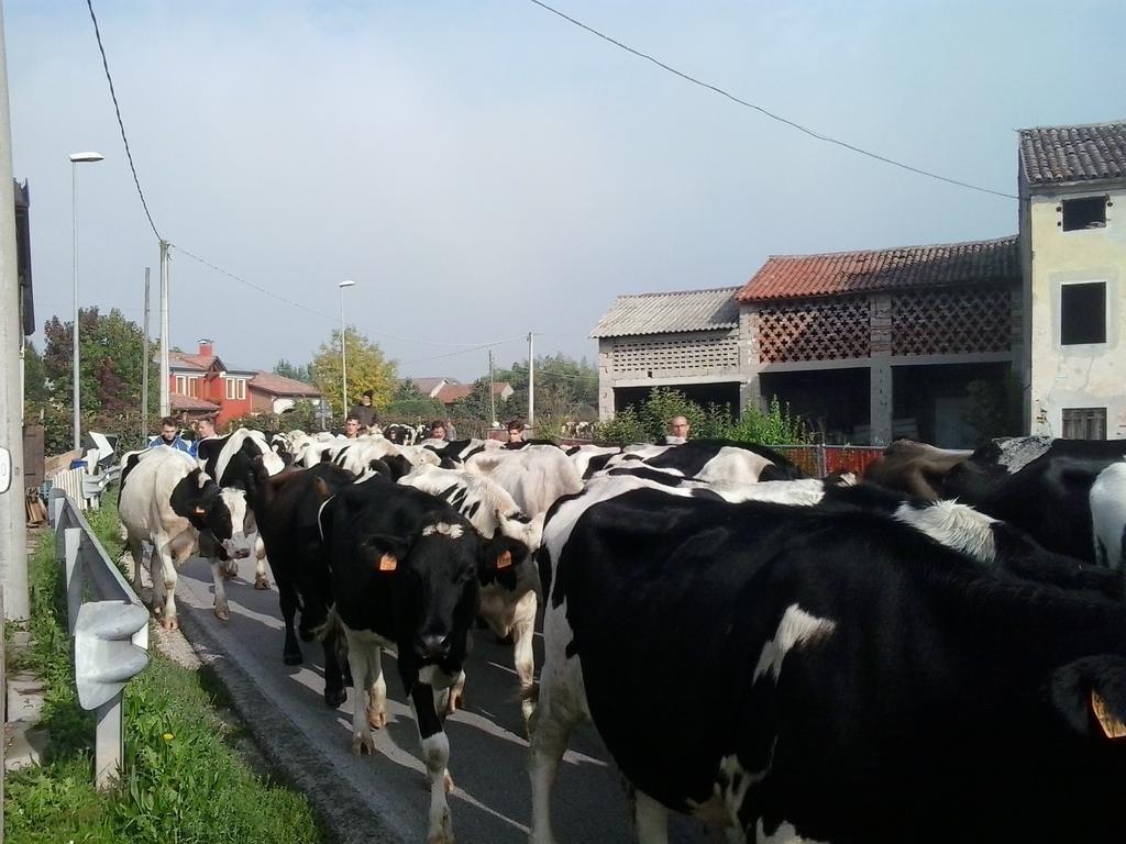 Agriturismo La Prateria Gazzo  Bagian luar foto